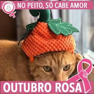 Meet your Posher, Ana